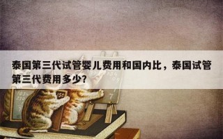 泰国第三代试管婴儿费用和国内比，泰国试管第三代费用多少？