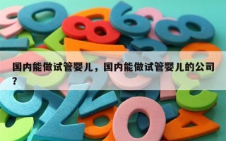 国内能做试管婴儿，国内能做试管婴儿的公司？