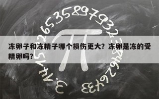 冻卵子和冻精子哪个损伤更大？冻卵是冻的受精卵吗？