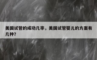 美国试管的成功几率，美国试管婴儿的方案有几种？