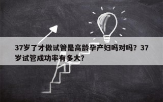 37岁了才做试管是高龄孕产妇吗对吗？37岁试管成功率有多大？