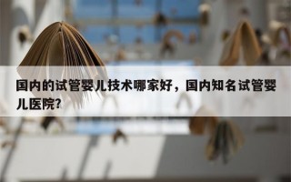 国内的试管婴儿技术哪家好，国内知名试管婴儿医院？