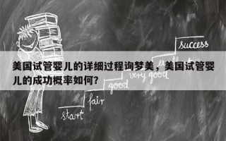 美国试管婴儿的详细过程询梦美，美国试管婴儿的成功概率如何？