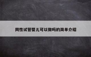 同性试管婴儿可以做吗的简单介绍