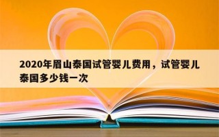 2020年眉山泰国试管婴儿费用，试管婴儿泰国多少钱一次