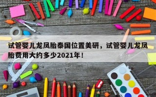 试管婴儿龙凤胎泰国位置美研，试管婴儿龙凤胎费用大约多少2021年！