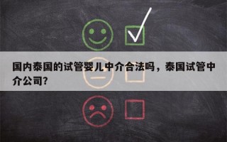 国内泰国的试管婴儿中介合法吗，泰国试管中介公司？