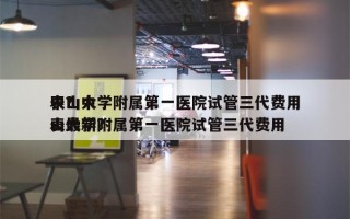 中山大学附属第一医院试管三代费用
表？中山大学附属第一医院试管三代费用
表最新？