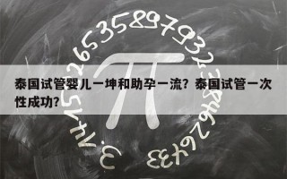 泰国试管婴儿一坤和助孕一流？泰国试管一次性成功？