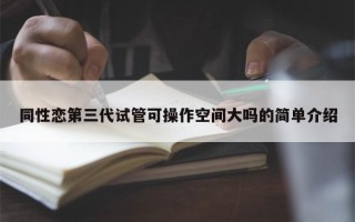 同性恋第三代试管可操作空间大吗的简单介绍