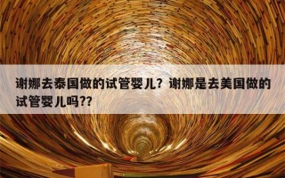 谢娜去泰国做的试管婴儿？谢娜是去美国做的试管婴儿吗?？