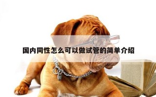 国内同性怎么可以做试管的简单介绍