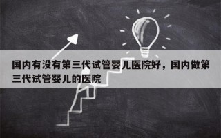 国内有没有第三代试管婴儿医院好，国内做第三代试管婴儿的医院