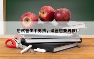 想试管生个男孩，试管想要男孩！