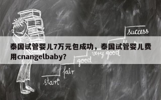 泰国试管婴儿7万元包成功，泰国试管婴儿费用cnangelbaby？