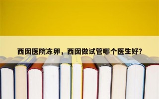 西囡医院冻卵，西囡做试管哪个医生好？