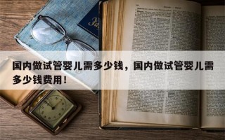 国内做试管婴儿需多少钱，国内做试管婴儿需多少钱费用！