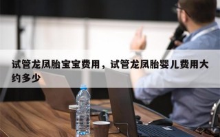 试管龙凤胎宝宝费用，试管龙凤胎婴儿费用大约多少