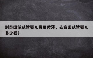 到泰国做试管婴儿费用菏泽，去泰国试管婴儿多少钱？