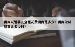 国内试管婴儿全程花费国内是多少？国内做试管婴儿多少钱？