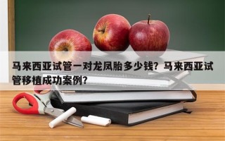 马来西亚试管一对龙凤胎多少钱？马来西亚试管移植成功案例？