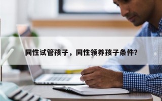 同性试管孩子，同性领养孩子条件？