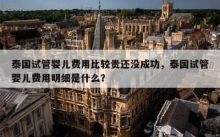 泰国试管婴儿费用比较贵还没成功，泰国试管婴儿费用明细是什么？