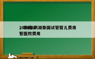 2020年洪湖泰国试管婴儿费用
，泰国试管医院费用
！