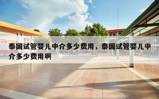 泰国试管婴儿中介多少费用，泰国试管婴儿中介多少费用啊