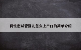 同性恋试管婴儿怎么上户口的简单介绍