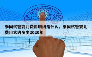 泰国试管婴儿费用明细是什么，泰国试管婴儿费用大约多少2020年