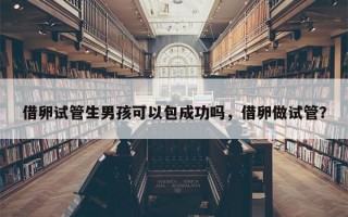 借卵试管生男孩可以包成功吗，借卵做试管？