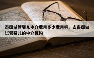 泰国试管婴儿中介费用多少费用啊，去泰国做试管婴儿的中介机构